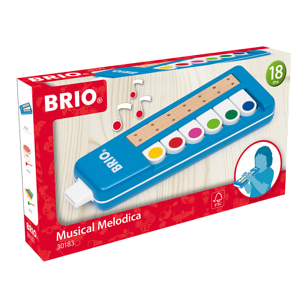 Instrument muzical de suflat, clavieta - Brio, 1.5+ ani