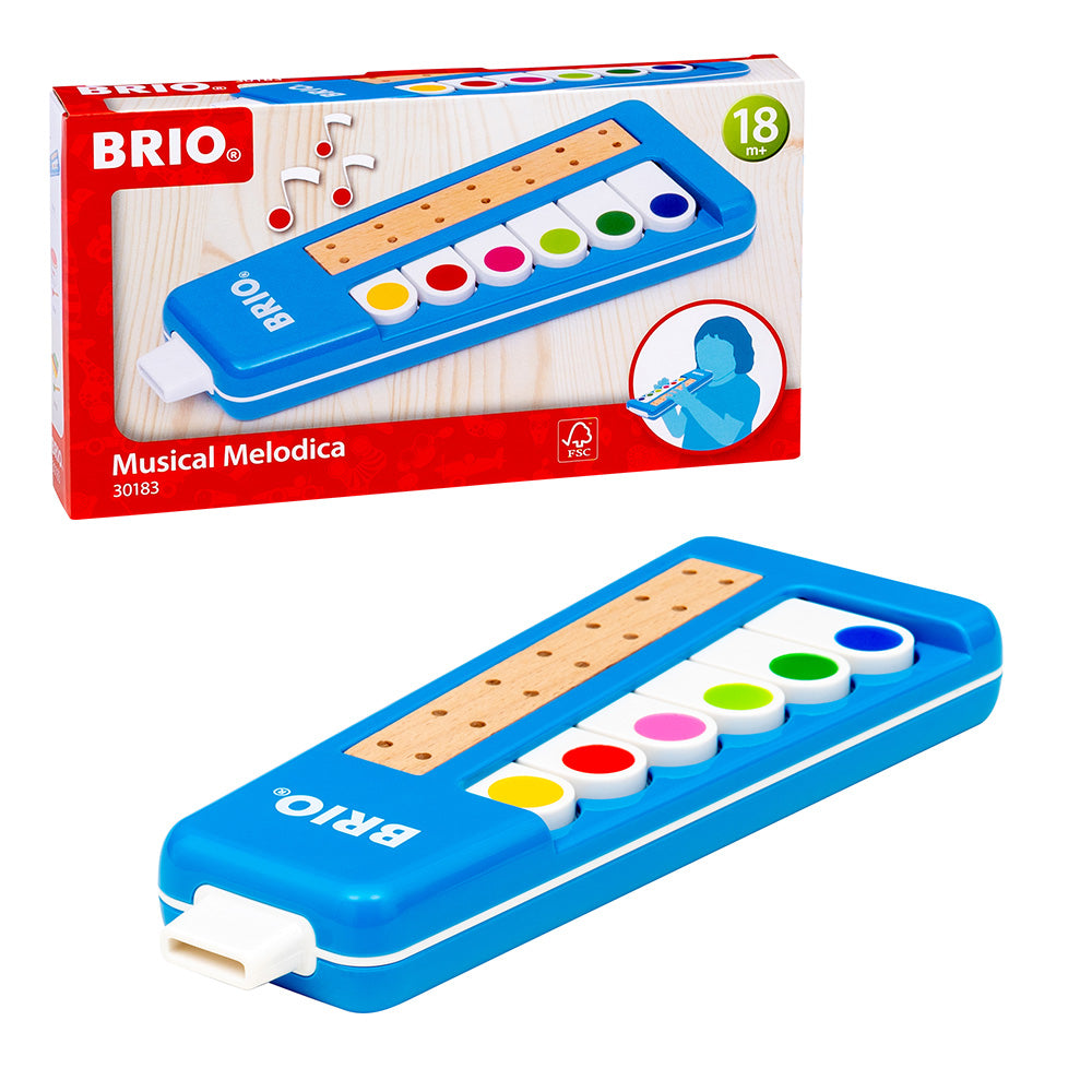Instrument muzical de suflat, clavieta - Brio, 1.5+ ani