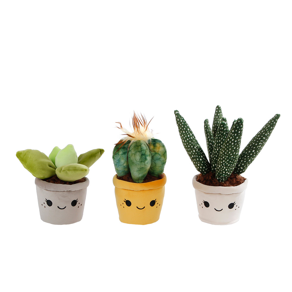Jucarie de plus – Cactus in ghiveci - Model 3, 19 - 27 cm