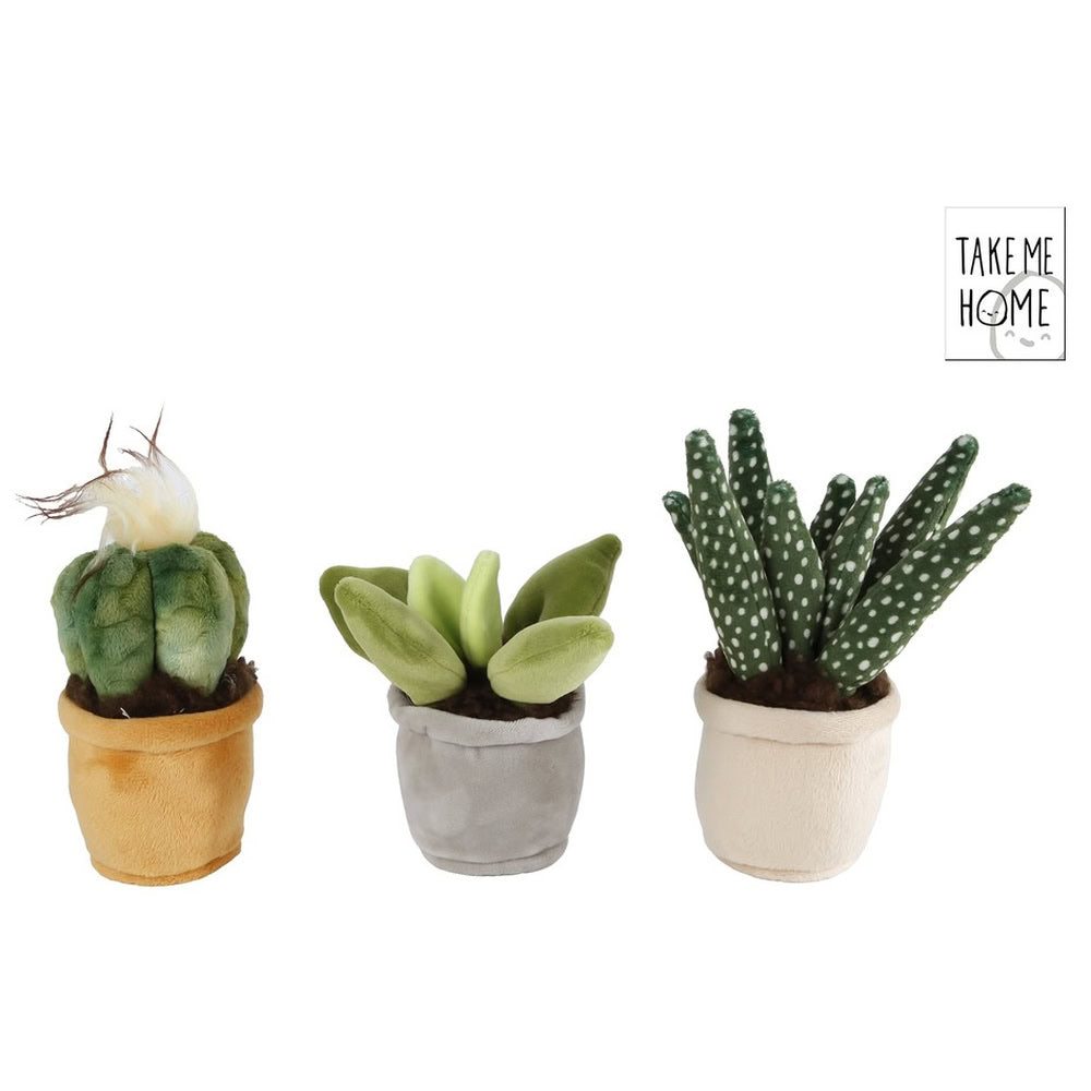 Jucarie de plus – Cactus in ghiveci, 12 - 17 cm
