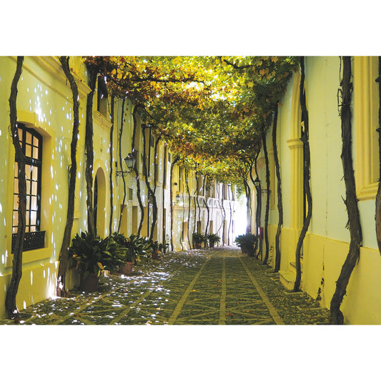 Puzzle Piatnik, Andalusian Street, 1000 piese