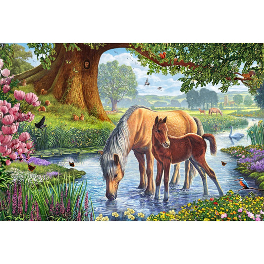 Imagine Puzzle Schmidt: Cai la parau, 150 piese