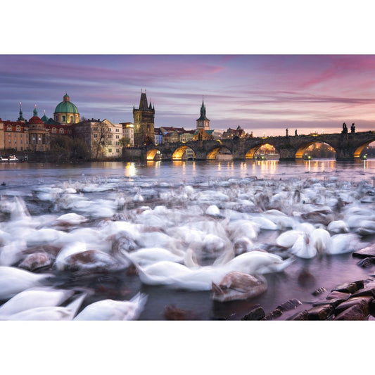 Imagine Puzzle Schmidt: Christian Ringer - Lebede din Praga, 1000 piese