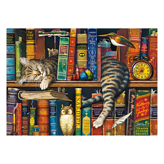 Imagine Puzzle Schmidt: Charles Wysocki Biblioteca lui Frederick, 1000 piese