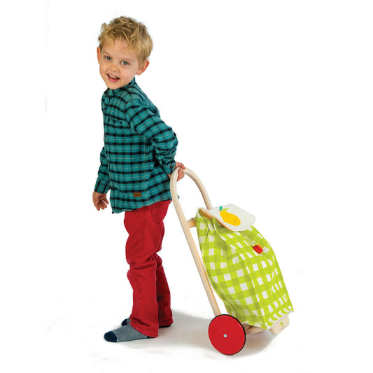 Imagine Carucior de cumparaturi verde - Pull Along Shopping Trolley - TL8254G