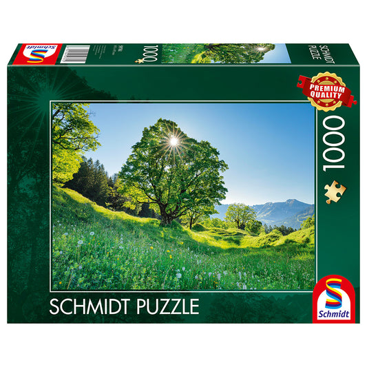 Puzzle Schmidt: Pajistea, St. Gallen, Elvetia, 1000 piese