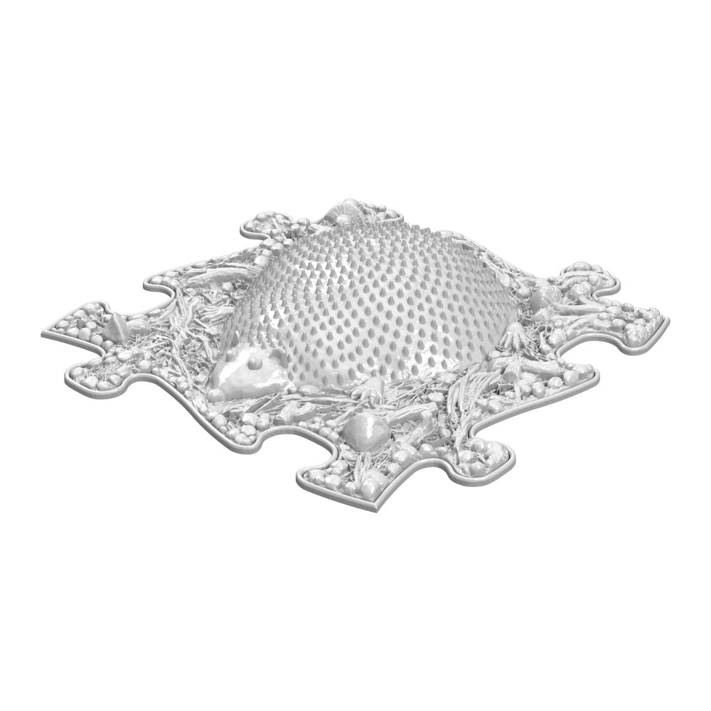 Covoras ortopedic senzorial Muffik Hedgehog Firm, textura tare pentru masaj plantar si stimulare tactila, alb, 29.79 x 29.79 cm, 1+ ani