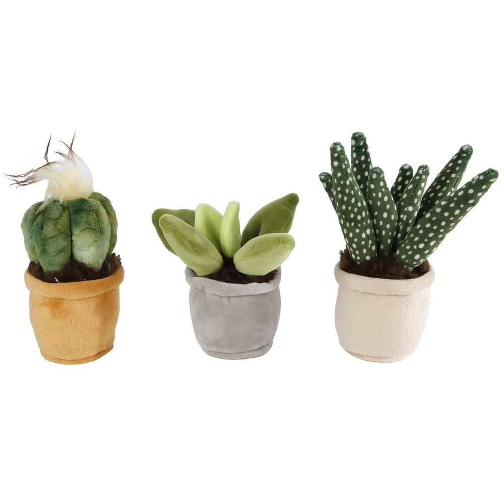 Jucarie de plus –  Cactus in ghiveci, 12 - 17 cm