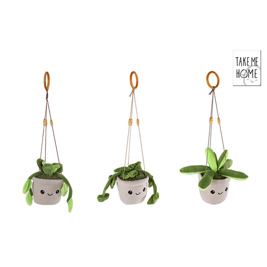 Jucarie de plus – Plante suspendate in ghiveci, 24 cm