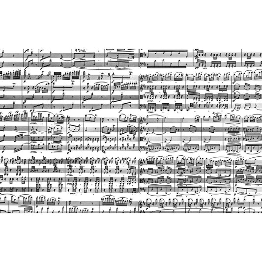 Puzzle Piatnik, Musical Notes, 1000 piese