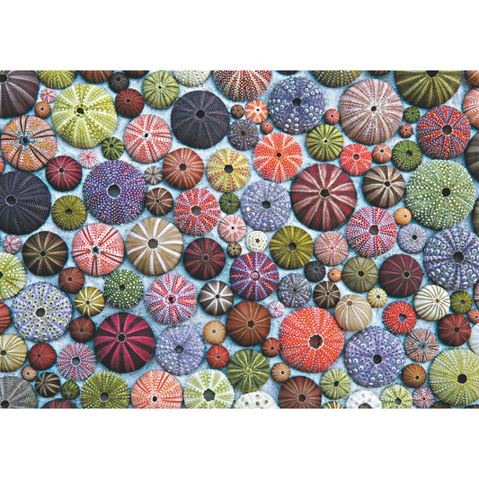 Puzzle Piatnik, Sea Urchin Pattern, 1000 piese