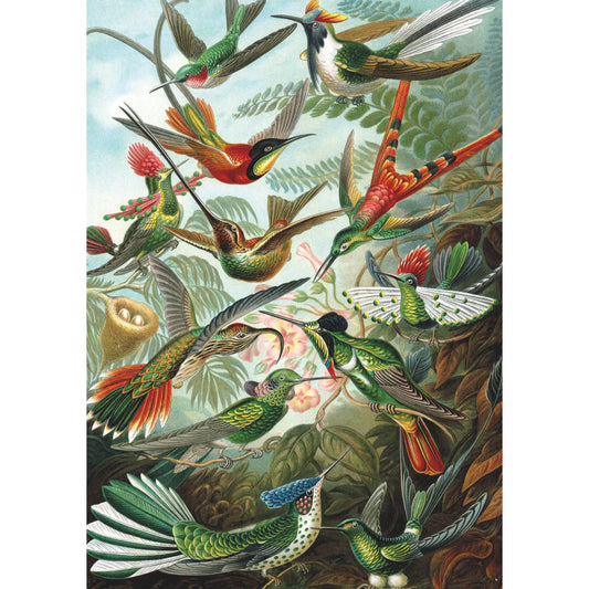 Puzzle Piatnik, Hummingbirds - Ernst Haeckel, 1000 piese
