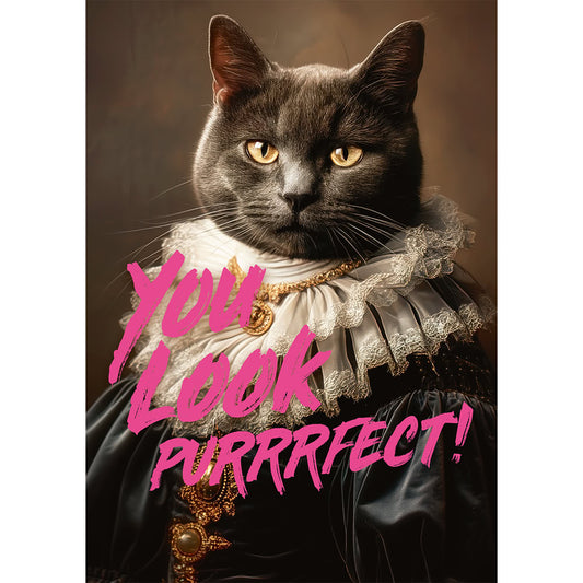 Puzzle Piatnik, You Look Purrrfect!, 1000 piese