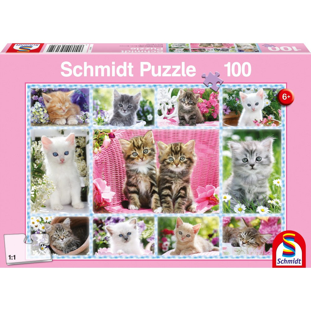 Imagine Puzzle Schmidt: Pisoiasi, 100 piese