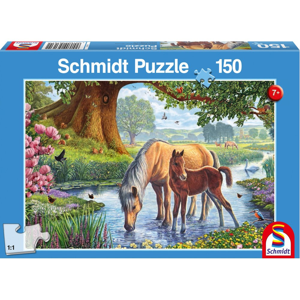 Imagine Puzzle Schmidt: Cai la parau, 150 piese