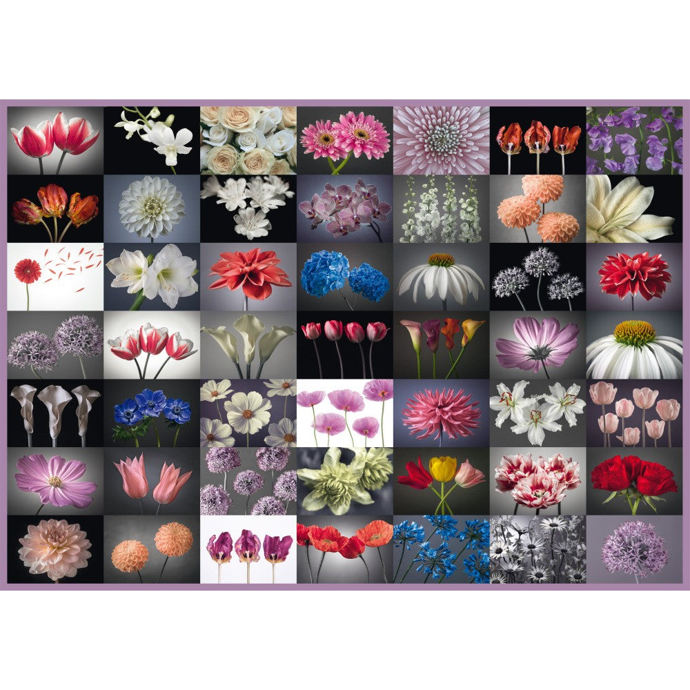 Imagine Puzzle Schmidt: Intampinare cu flori, 2000 piese