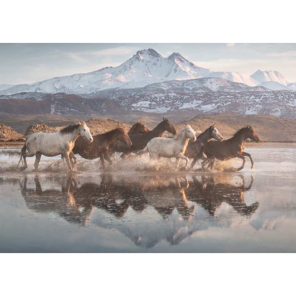 Imagine Puzzle Schmidt: Caii din Cappadocia, 1000 piese