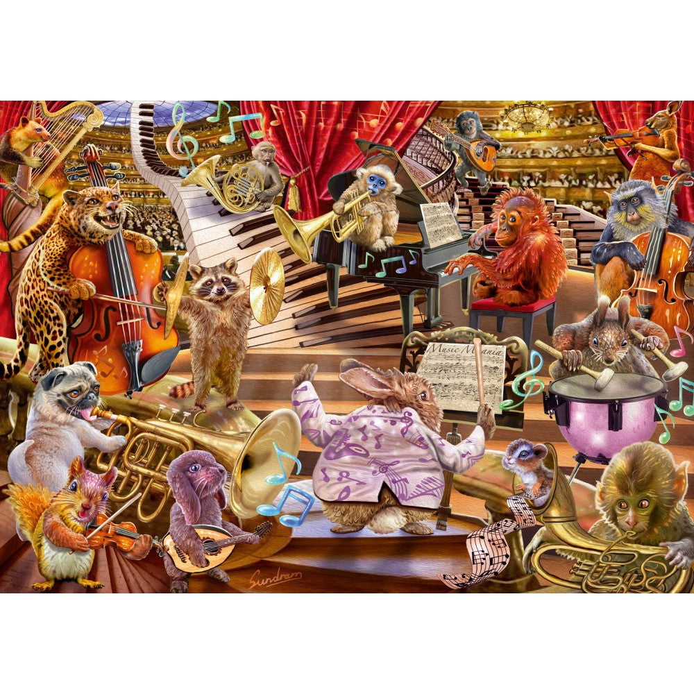 Imagine Puzzle Schmidt: Steve Sundram - Music Mania, 1000 piese