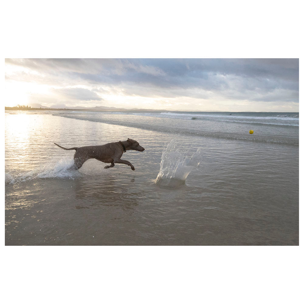 Imagine Minge de plaja pentru caini, saritoare pe apa - Waboba Fetch