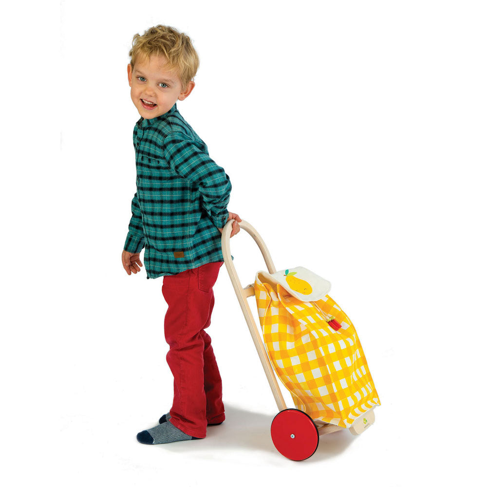 Imagine Carucior de cumparaturi galben -  Pull Along Shopping Trolley - TL8254Y