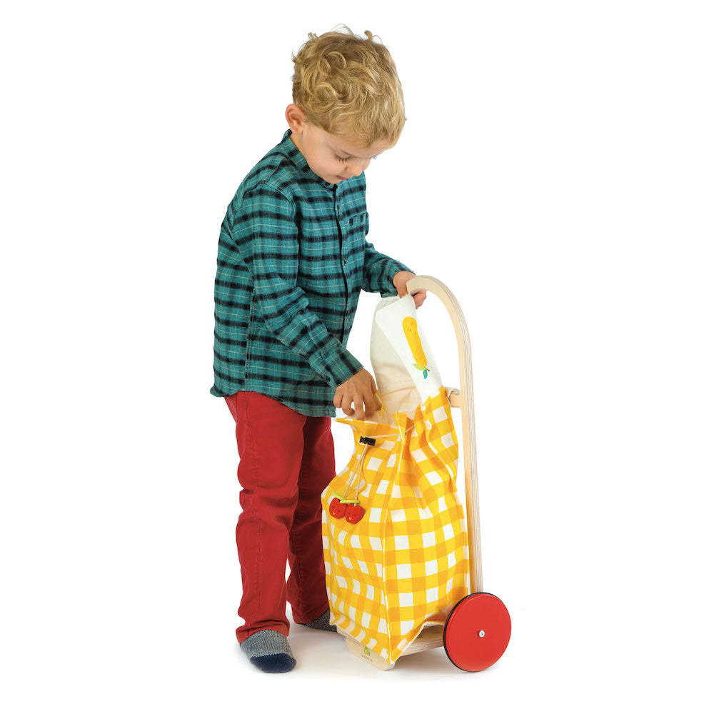 Imagine Carucior de cumparaturi galben -  Pull Along Shopping Trolley - TL8254Y