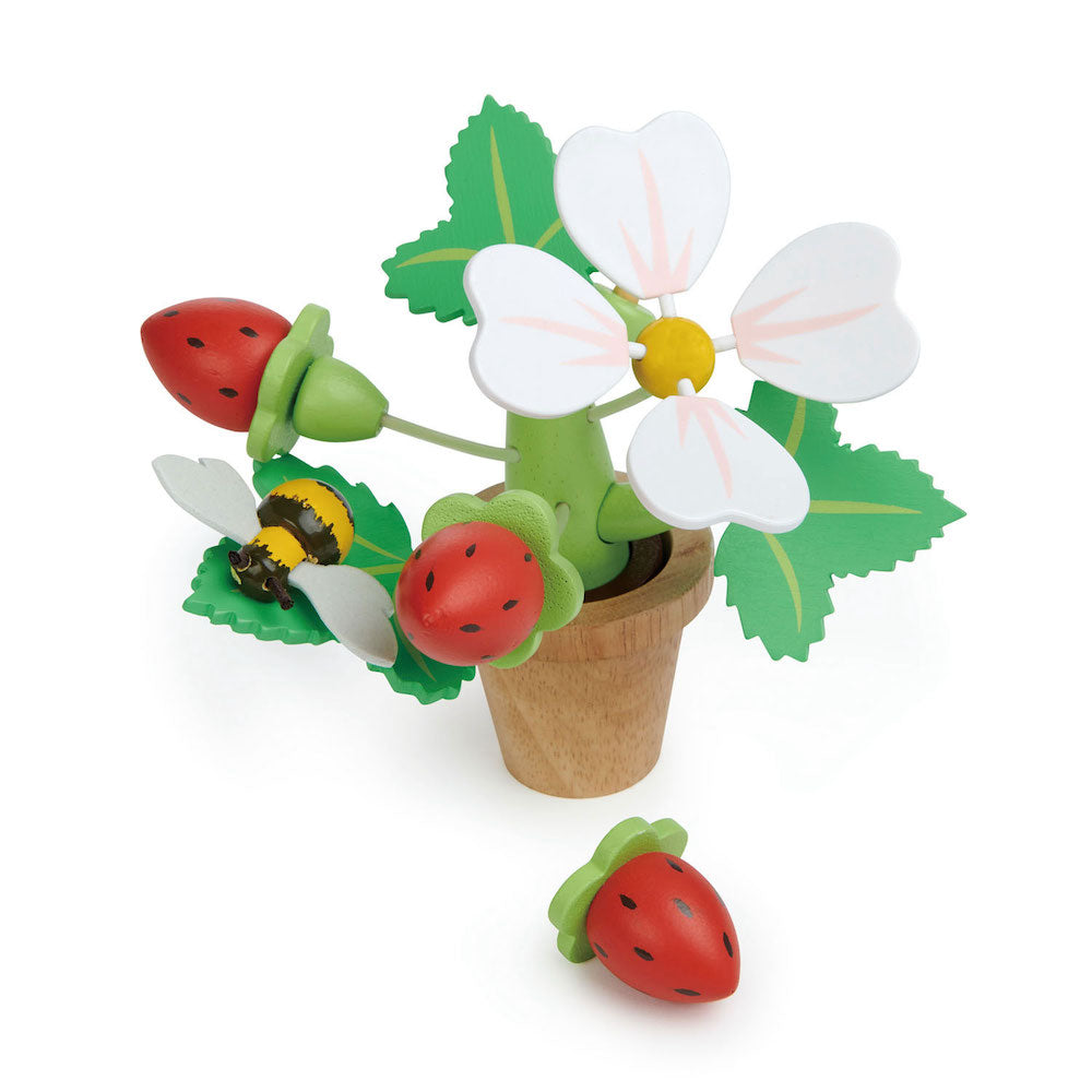 Imagine Capsuni in ghiveci - Strawberry Flower Pot - 13 piese - TL8356