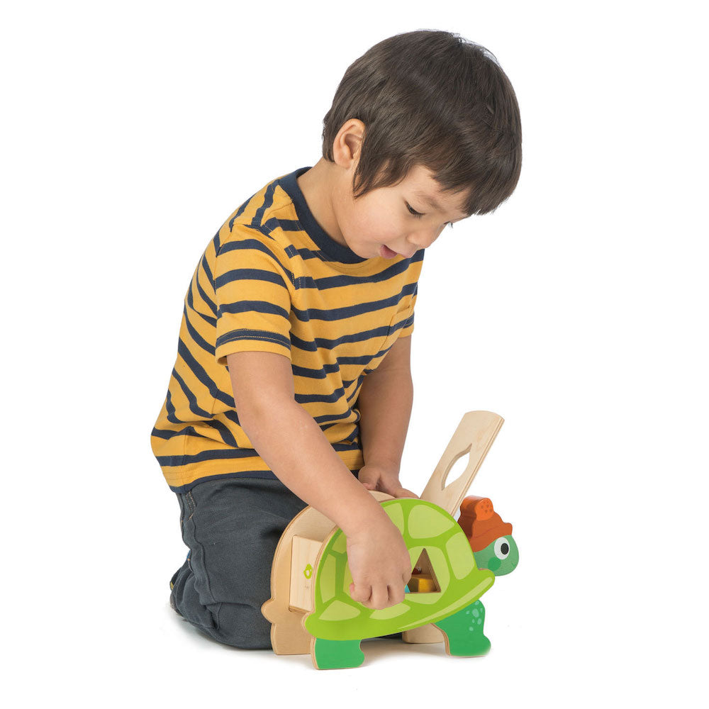 Imagine Broasca testoasa didactica- Tortoise Shape Sorter - 6 piese - T8456