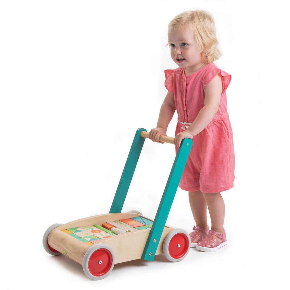 Imagine Antemergator cu cuburi- Baby Block Walker - 29 piese - TL8464